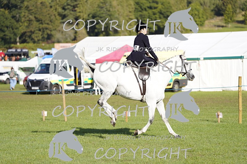 _DSC9483 - Class 8 & 17 Ridden Hunter & Ridden Hunter Pony