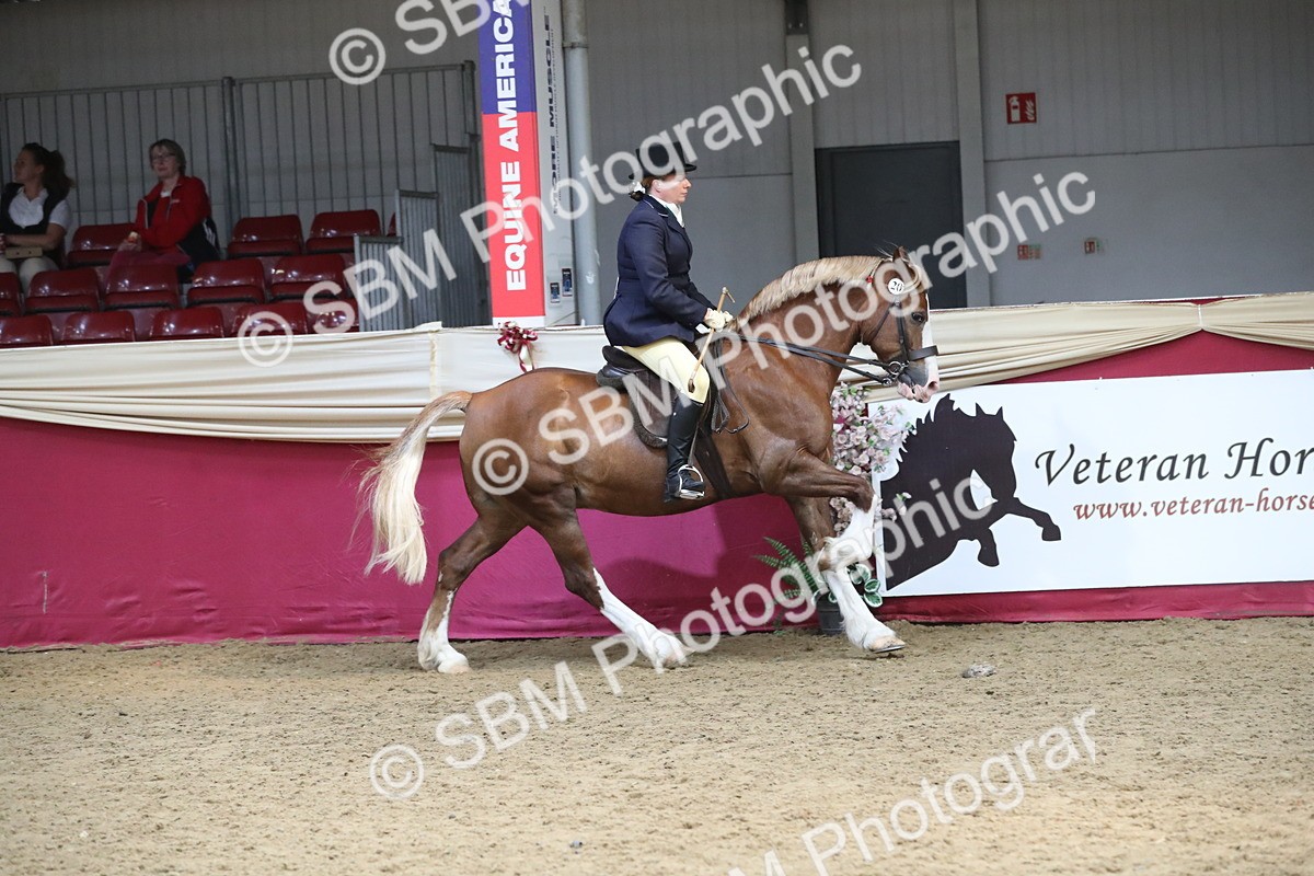 SBM_16325 - Class 502 M&M Ridden Supreme Final