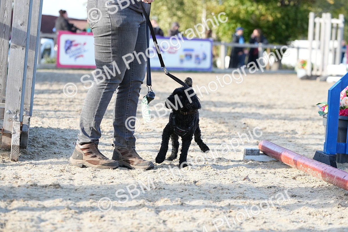 SBM_28991 - J43 - Horse & Hound Open 50cm