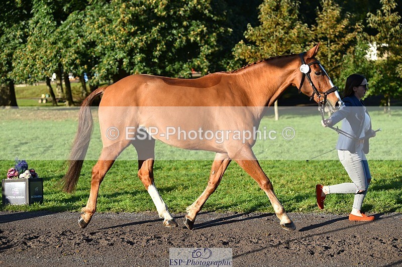 231022-093426-21885 - 407-UNNAMED.(809948)-Lucy.Strong-TrotUp+SJ