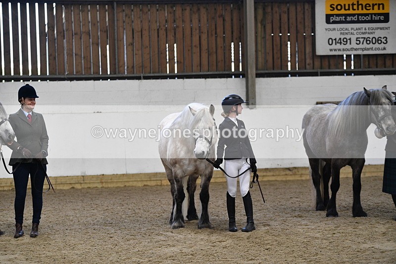 WJ5_4439 - Class 6 In hand M&M - Large Breeds