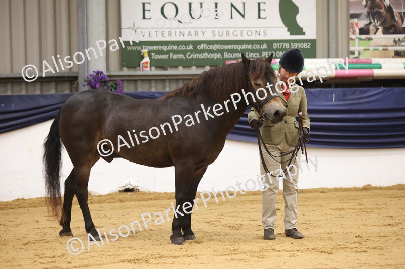 20260913-1114 - Class 110 - Bred In Other In Hand