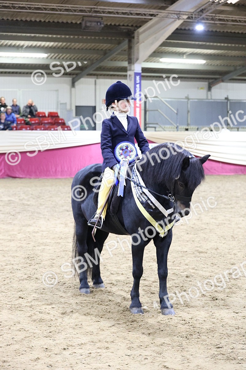 SBM_20613 - Class H - IH Competition - Riding Club champ