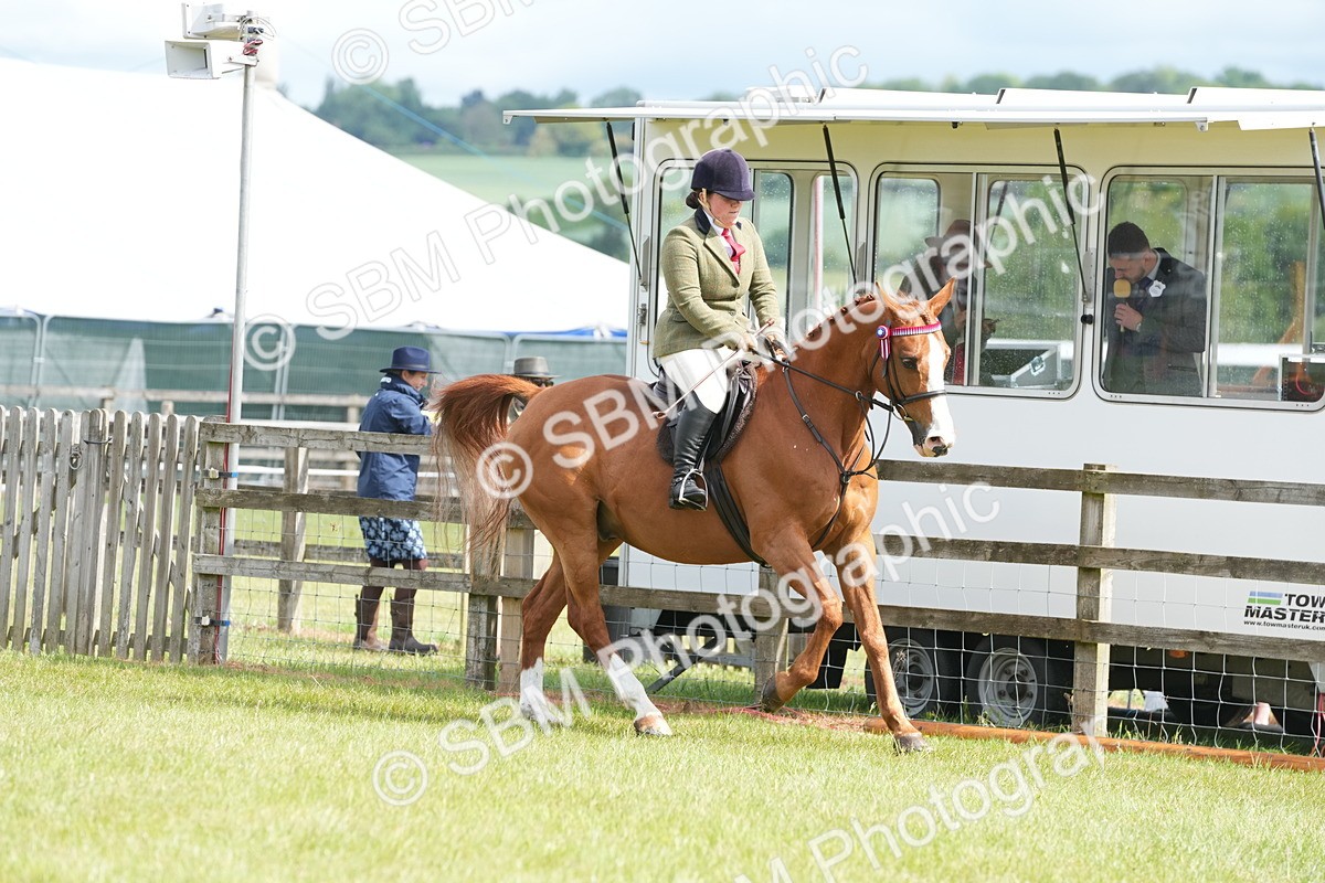 SBM_12922 - Class 99 - RIHS SEIB Working Show Horse