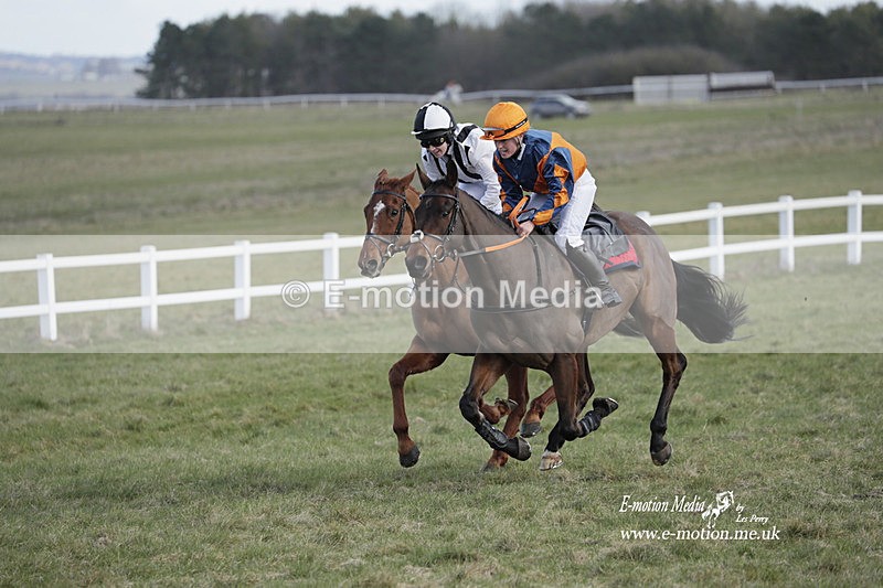 PtP 260223 97 - South & West Wilts Point-to-Point Larkhill 26/02/23