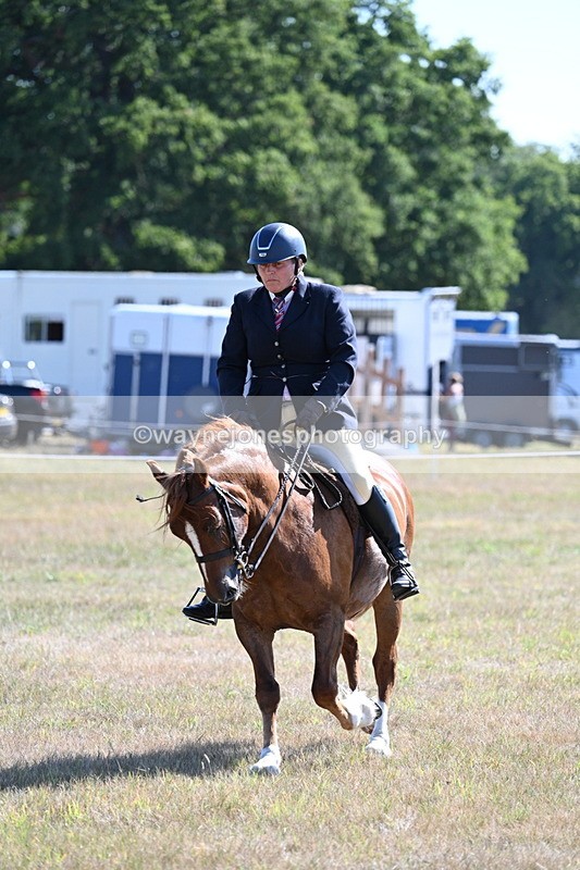 WJ7_3868 - Class 9 Mountain & Moorland Ridden
