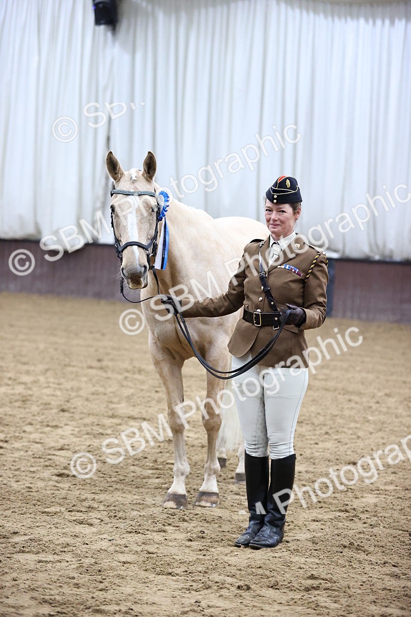 SBM_5227 - Class 39 - In Hand Gelding