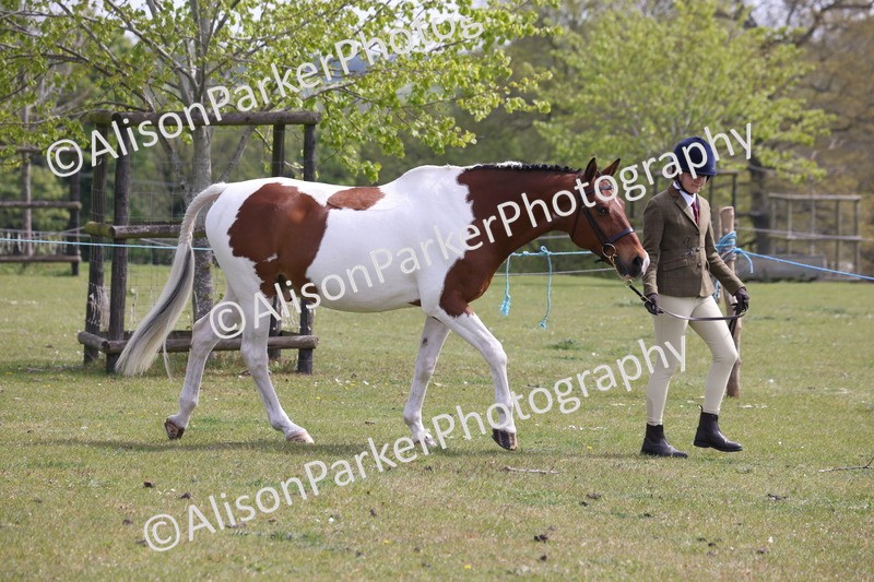 20260426-3286 - Class 27 - Coloured Horses and Ponies