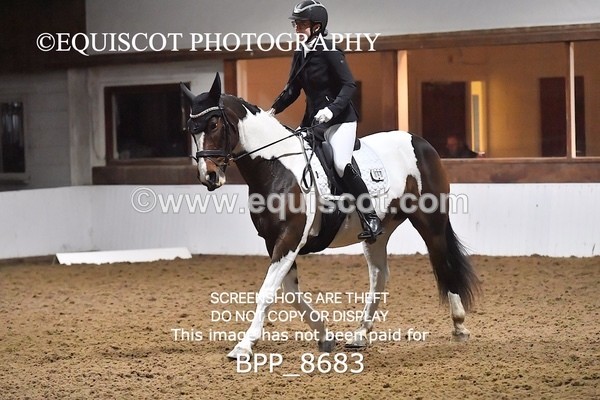 BPP_8683 - NOVICE 6 BD