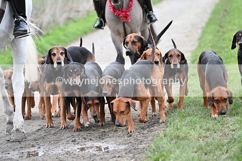 WJ7_1236 - Walk Home