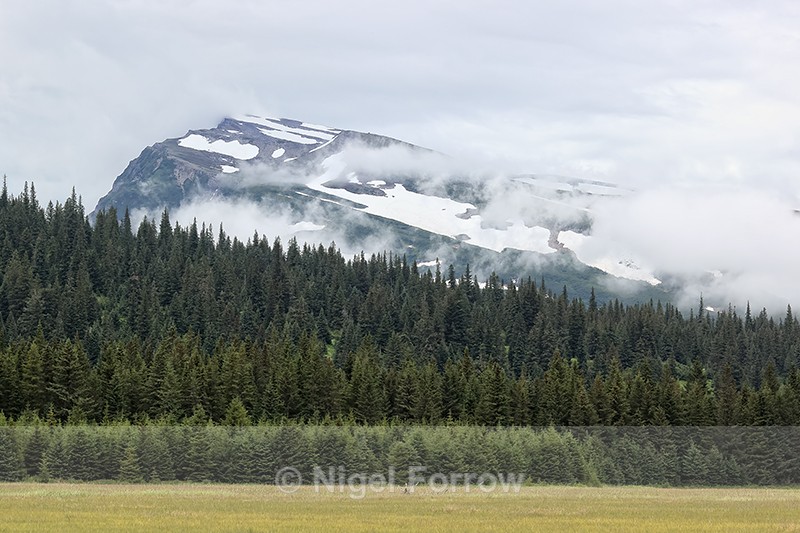 Slope Mountain, Lake Clark National Park, Alaska - Alaska, USA