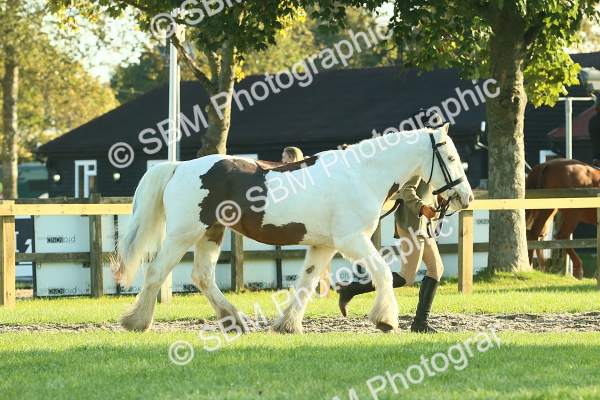 SBM_57329 - S37 - Starters In Hand Showing