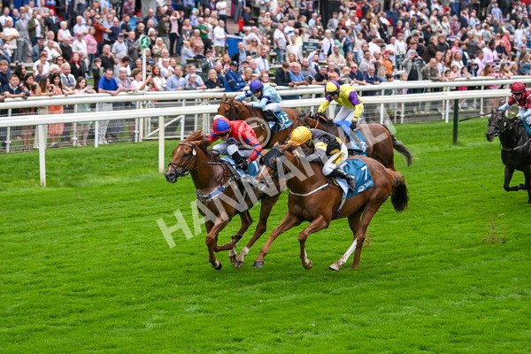 080925-Race 2-Alzahir-7422 - Race 2 3.00pm Sky Bet Super Sub Sprint Handicap