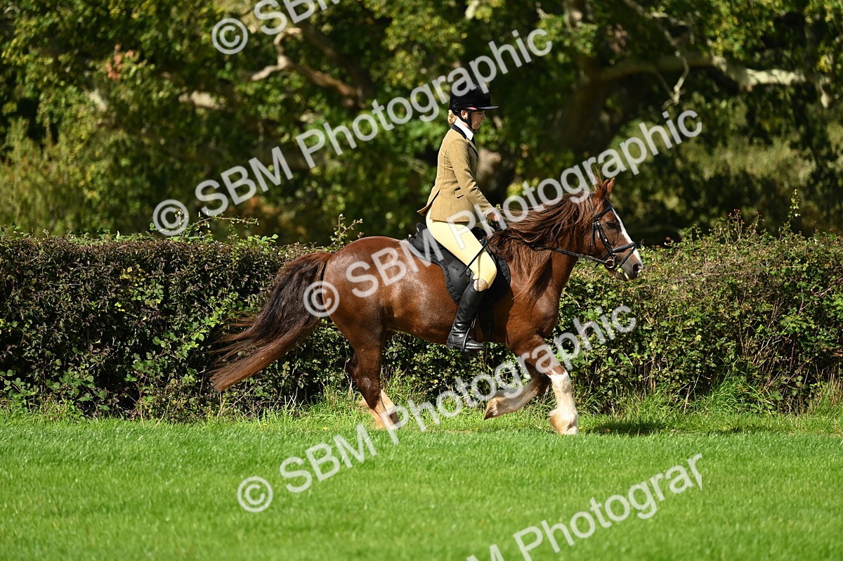 SBM_02660 - S3 - TSR Ridden Pony Showing