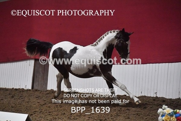 BPP_1639 - MORNING 9AM - 12PM