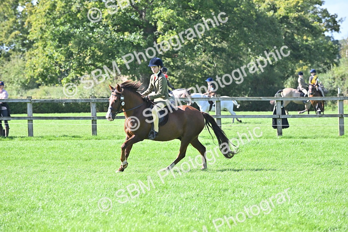 SBM_44563 - S13 - Pony Club Pony