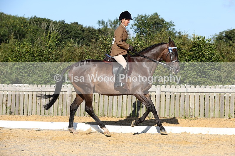 1X9A7555 - Class 7: Novice Ridden Hunter/Hack/Cob/Riding Horse