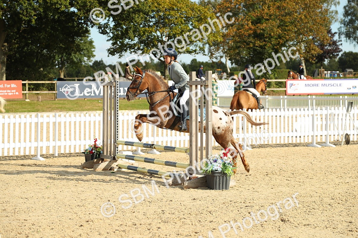 SBM_51594 - J7 - Junior Pony 60cm Championship