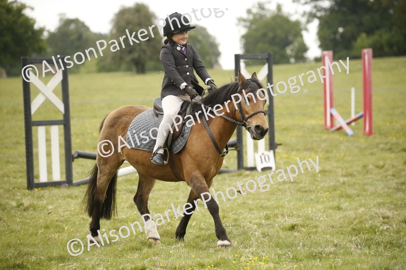 20250517-0831 - Class 2 - 30cm Off Lead Rein