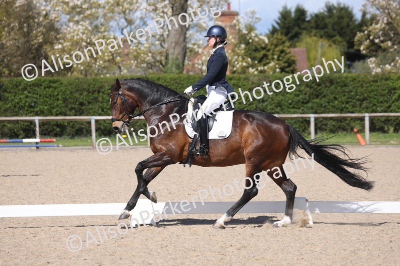 20260405-0590 - Class 7 - Medium 5