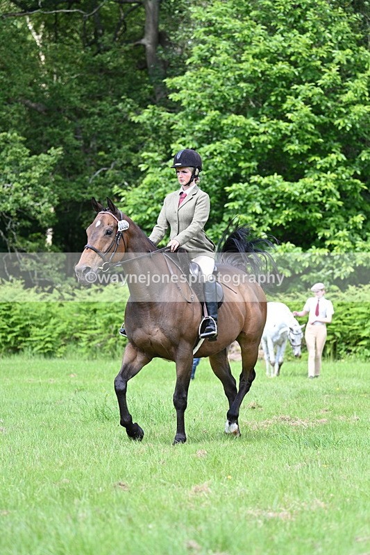 WJ7_1272 - Class 11 Condition & Turnout