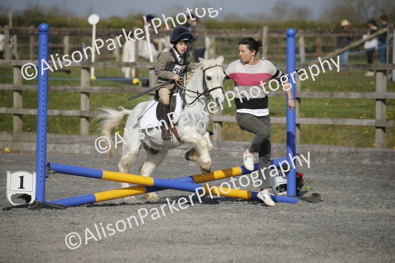 20250412-0154 - Show Jumping