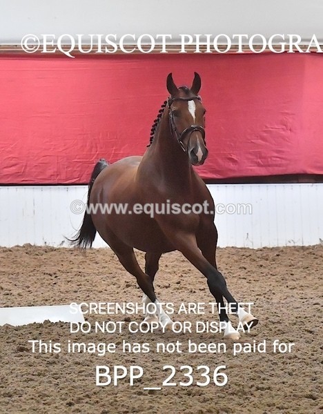 BPP_2336 - AFTERNOON 12.30 - 3.30PM