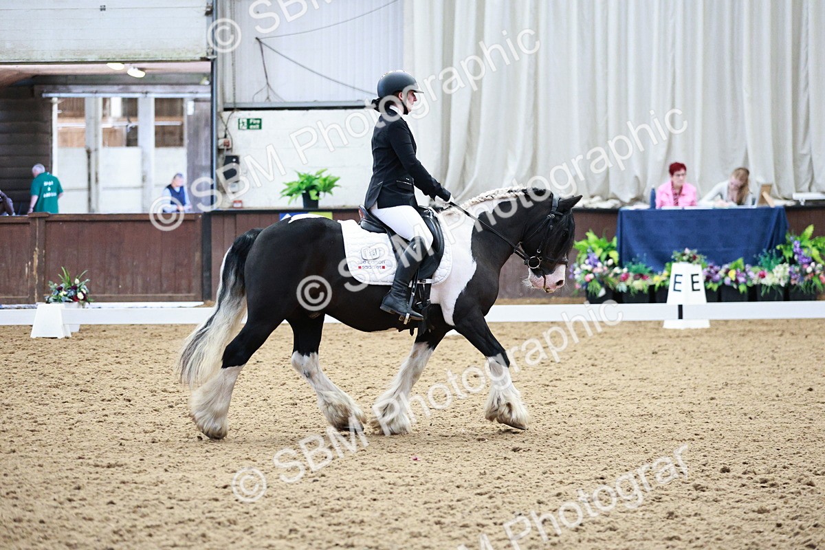 SBM_004107 - Class 13-19 - Novice FSM-INT 1 - 9.00-9.54