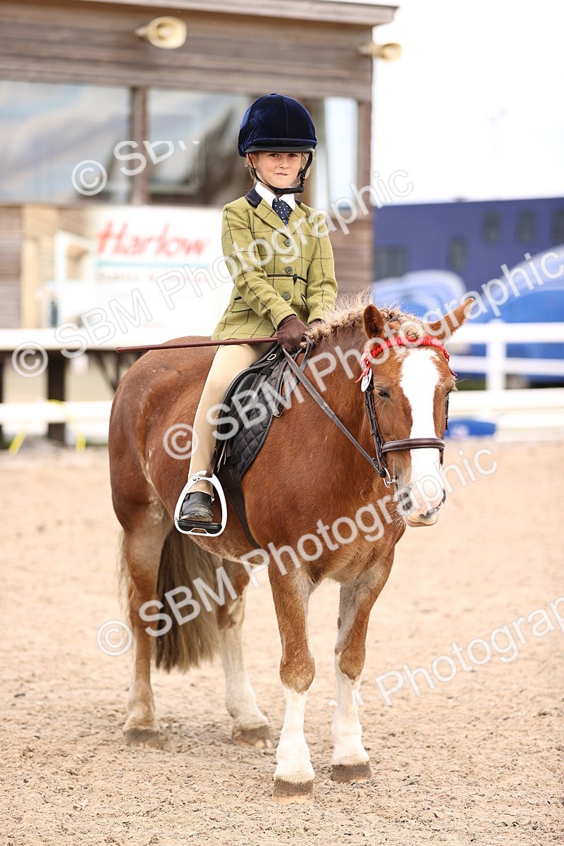 SBM_16170 - Class 420 - Horse-Pony Judge would most like to take home (IH or Ridden) Jnr