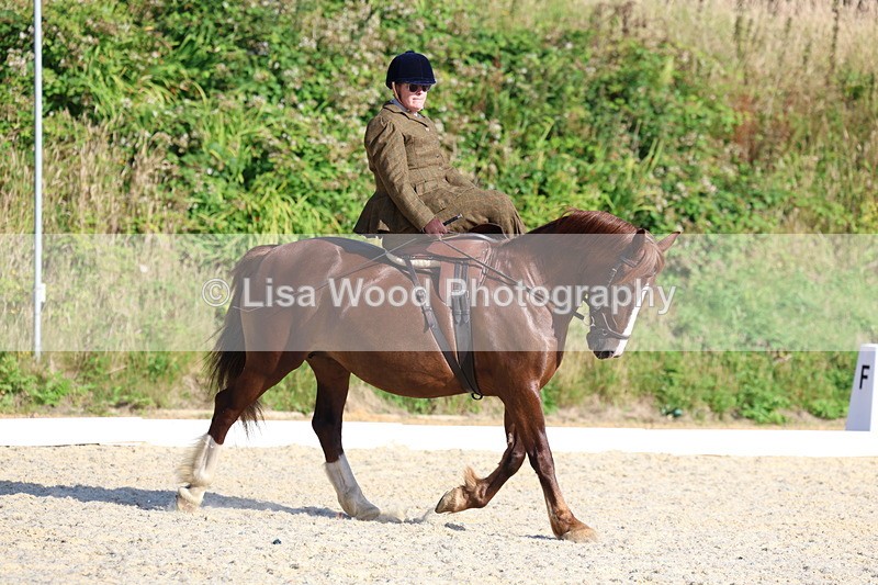 3E7A3447 - Class 2: Intro 1 2024 Section B