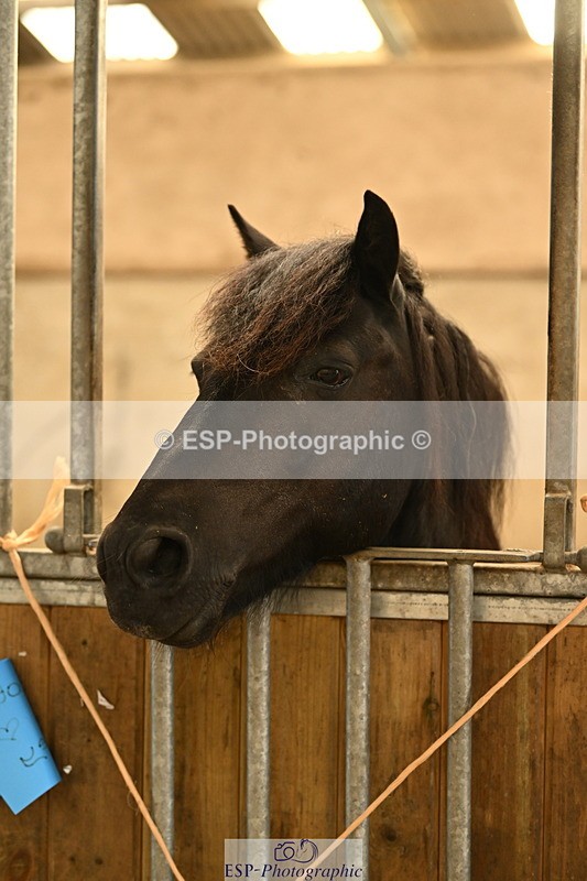 240809A-084721-00011 - Stable Shots