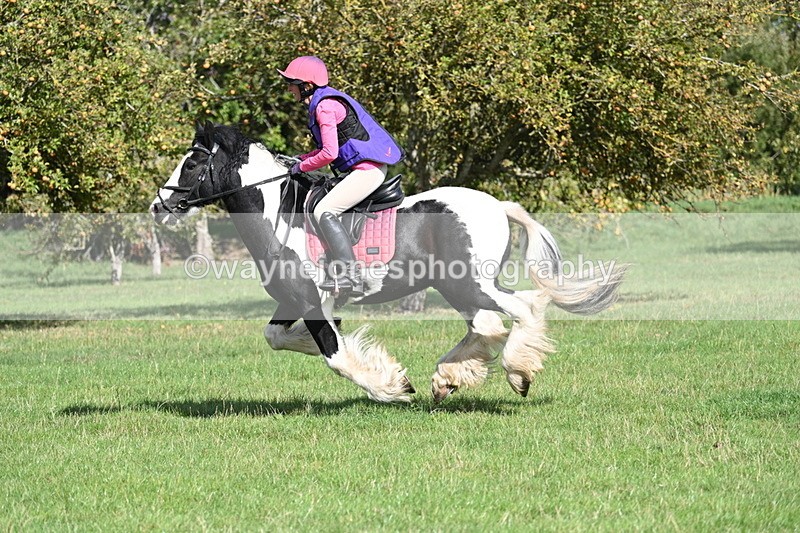 WJ7_0223 - Time 12:53 to 13:03