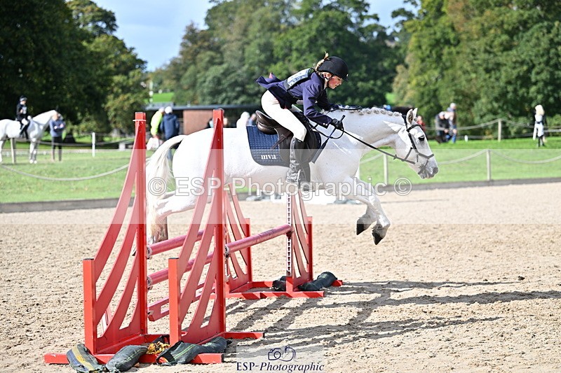 251005A-140310-04262 - Cls 09 Nov 80-85cm