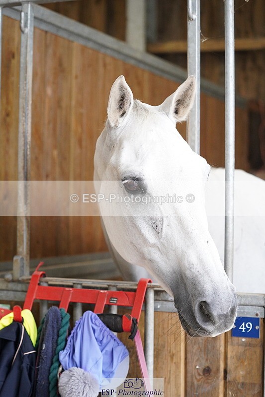 240809A-134632-01011 - Stable Shots