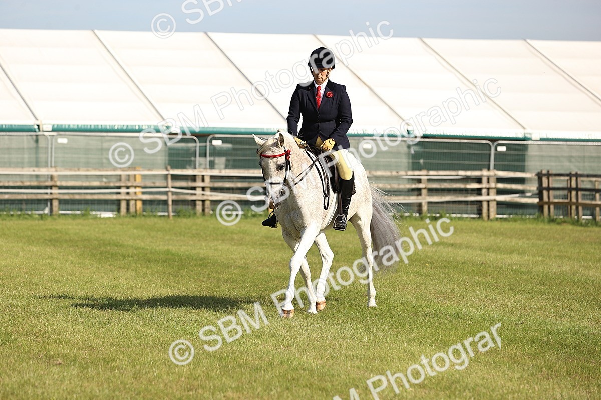 SBM_12401 - Class 73-74 - LIHS BSHA Open Style & Performance