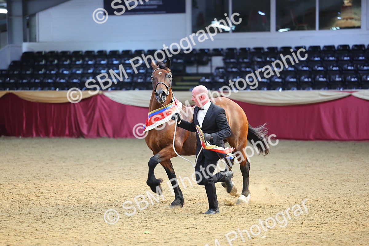 SBM_25030 - Grand Supreme Final Overall Champion