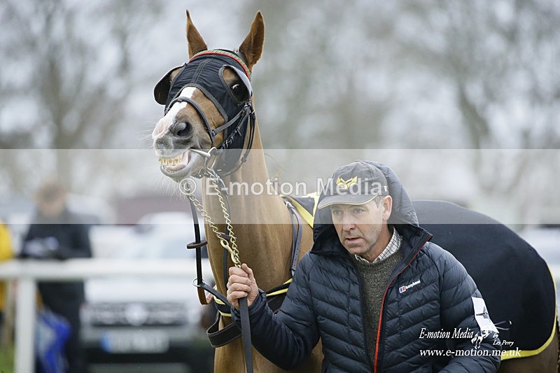 PtP 200222 534 - Countryside Alliance PtP Badbury Rings 20/02/22