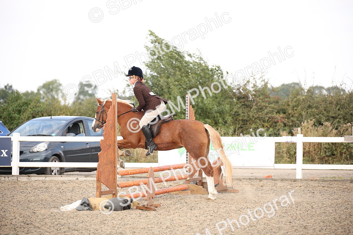 SBM_16021 - Class 408b - Working Veteran 70cm (20+)