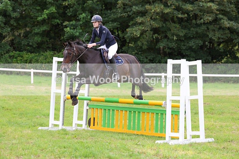 3E7A6992 - Class 5: Senior British Novice/90cm open