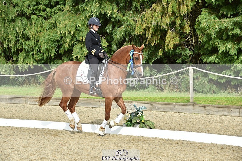 230812-160332-05352 - FEI PSG Bronze Presentations