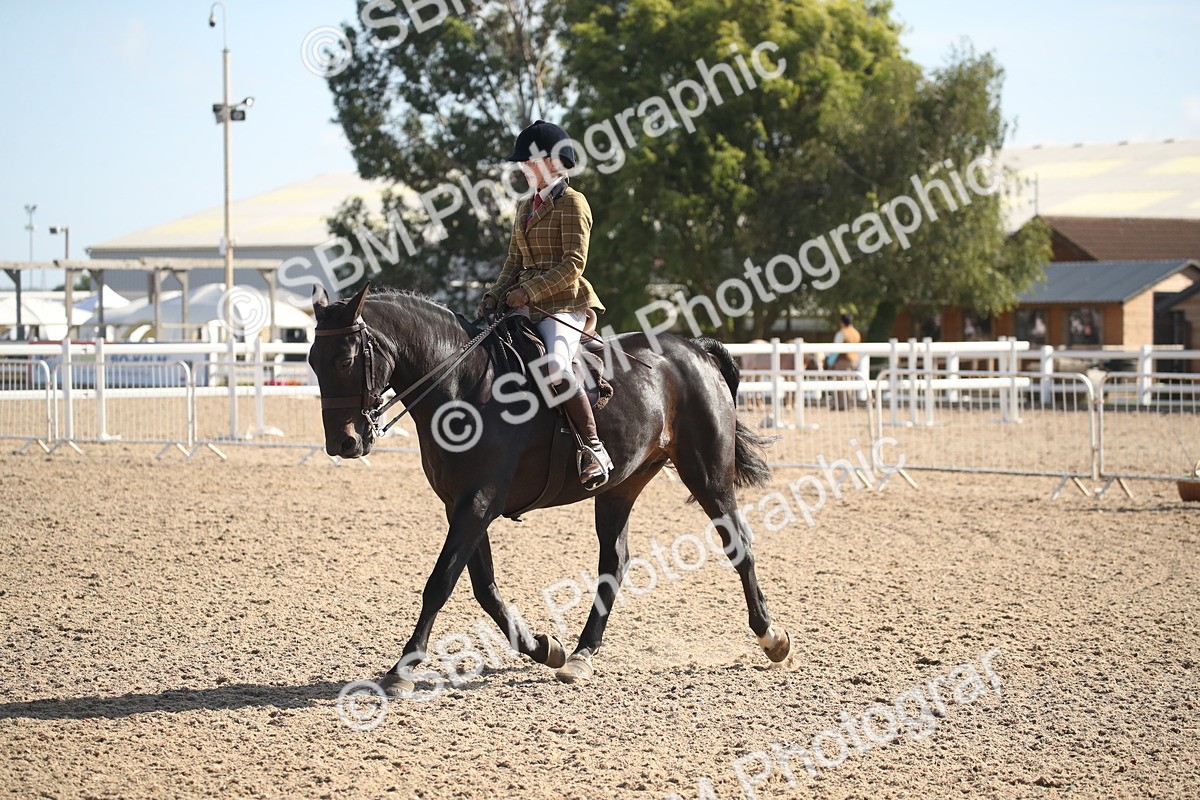 SBM_22807 - Class 602 - 2026 Area - Ridden Veteran