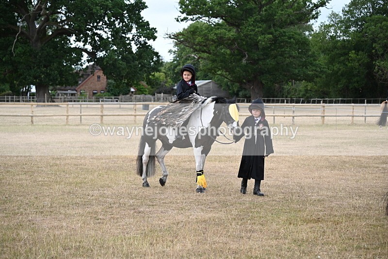 WJ6_8736 - Class 11 Fancy Dress