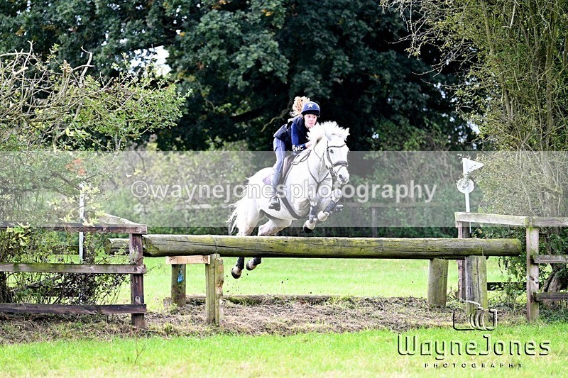 WJ7_0384 - Edited examples