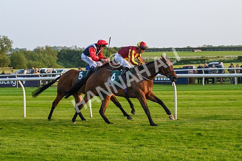 310524-Race 4-Albegone-8783 - Race 4