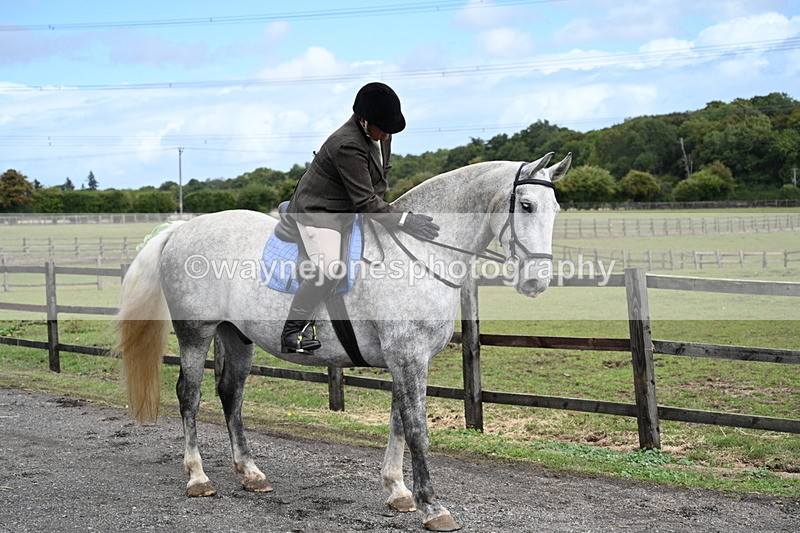 WJ7_6762 - Berks & Bucks at Blandy’s Farm 31-08-25