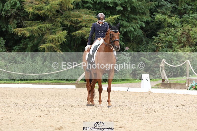 240810-160948-04331 - 219-Alice.Peternell-Insanity