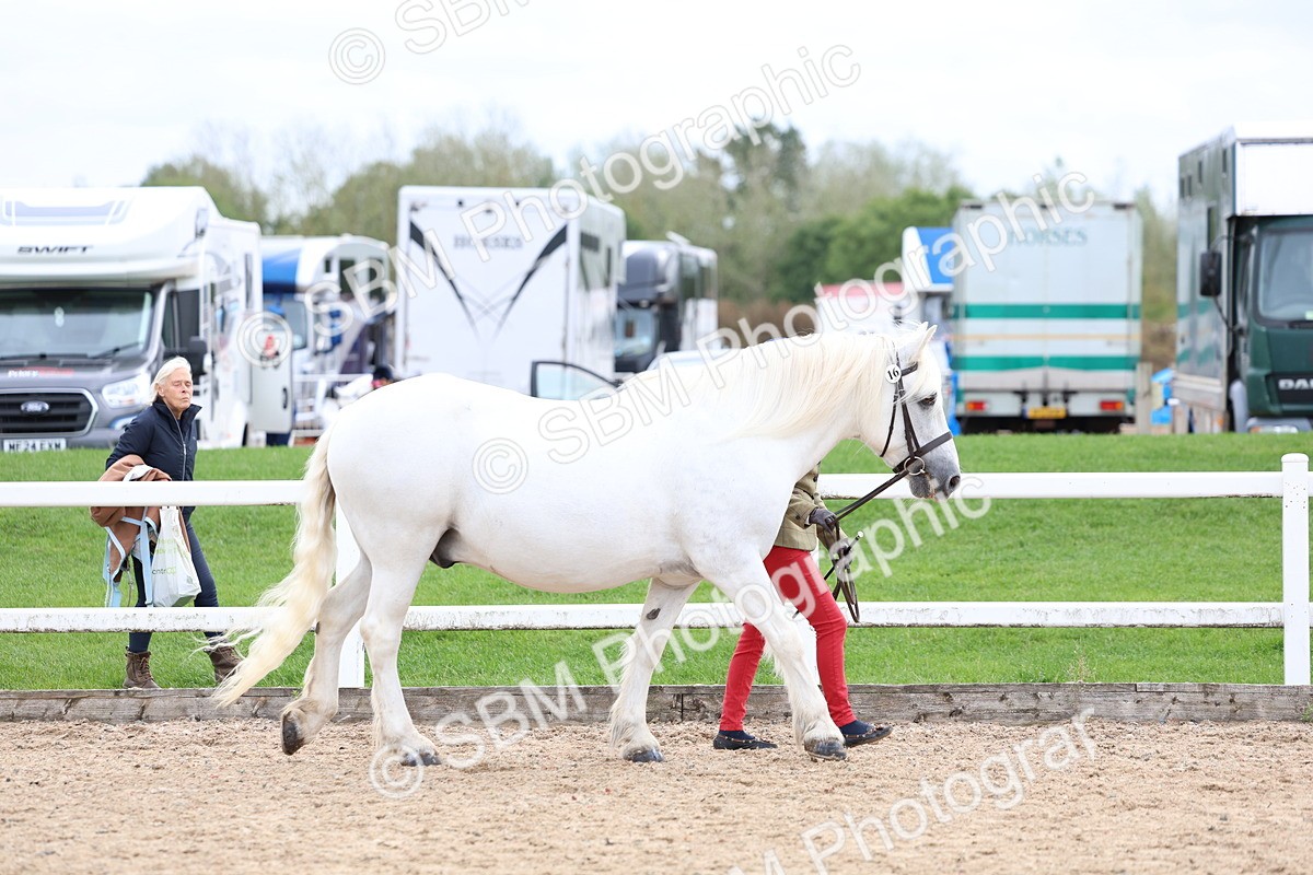 SBM_05817 - Class 29 - IH Veteran Pony