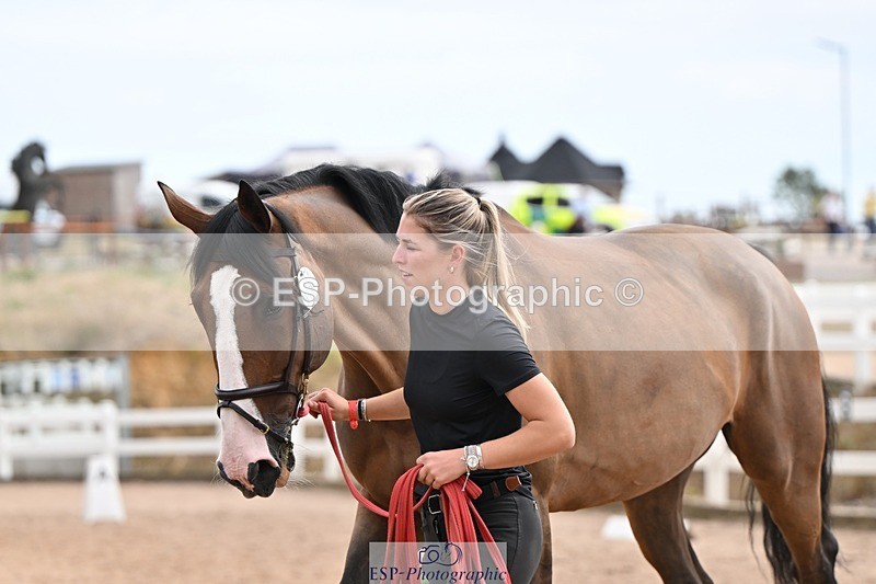 250716-145337-01486 - Trot Up 2.30 to 3.30