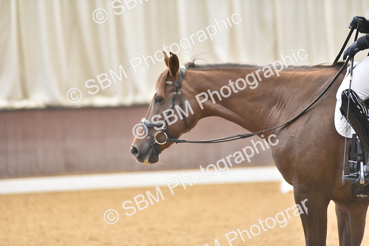 SBM_009578 - Class 11 - Elementary 5