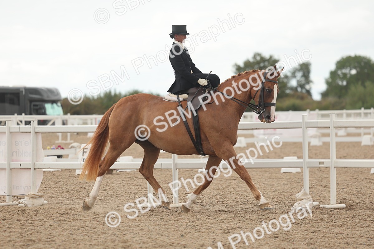 SBM_06318 - Class 23 - SSA - Classical